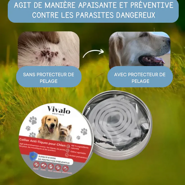 Collier Anti-Tiques pour Chien